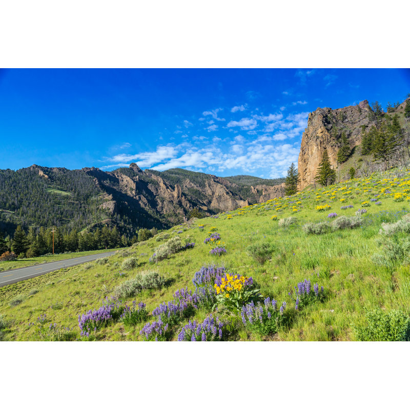 Ajahnae Yellowstone National Park - Photographie sur toile tendue, H 8 po x l 12 po
