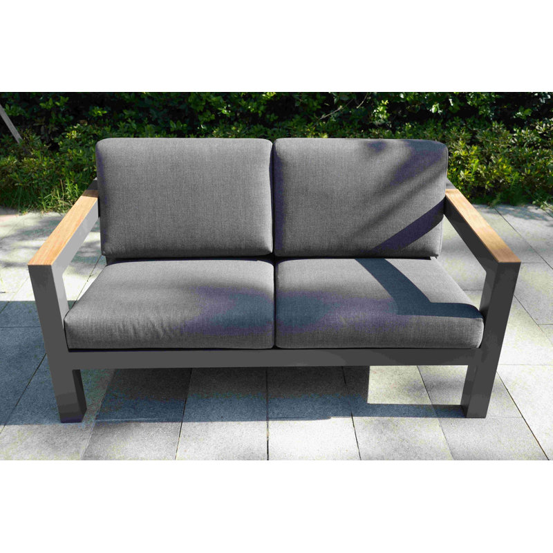 Brian 59.06" W Aluminum Patio Sofa with Cushions