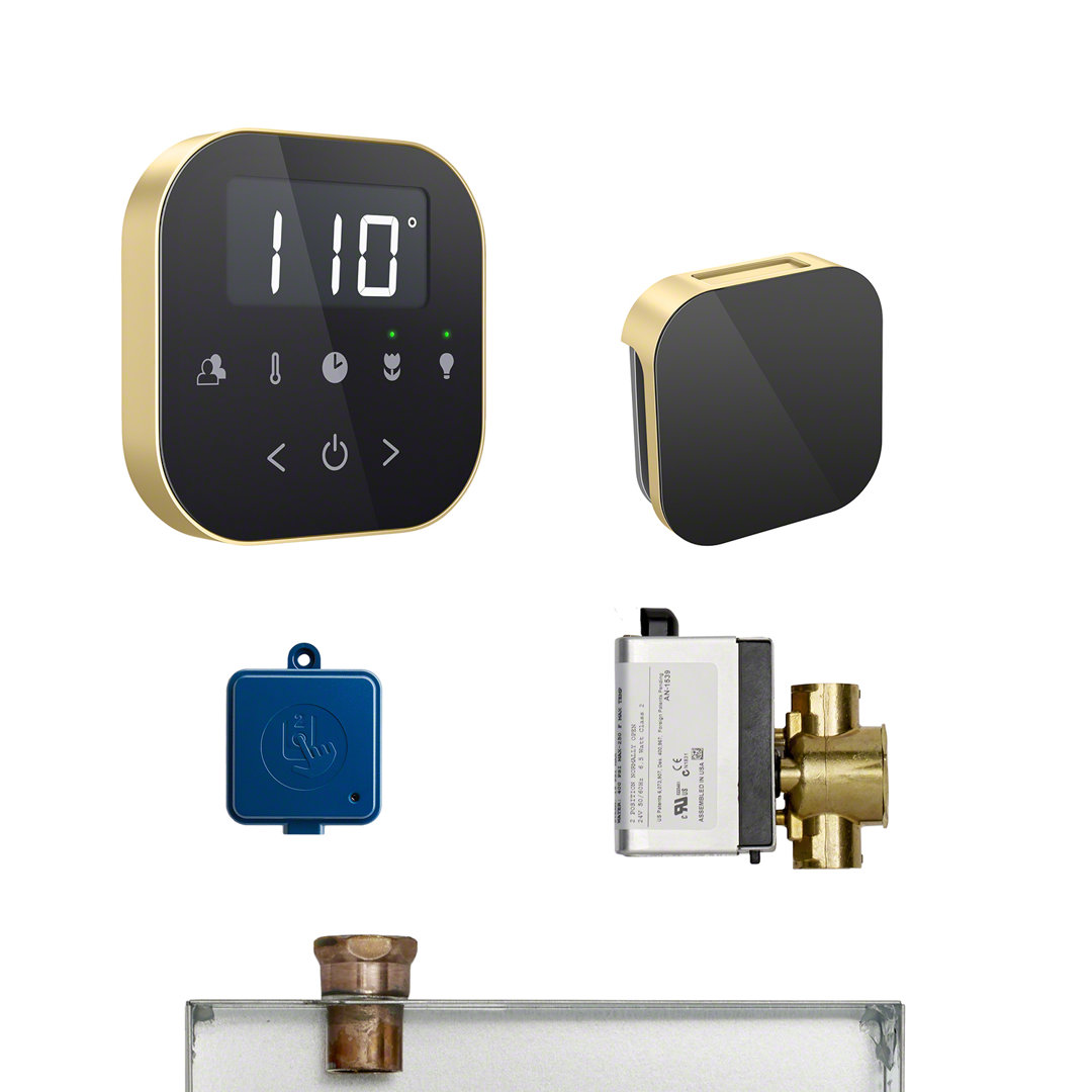 240 Steam Generator Package Mr. Steam