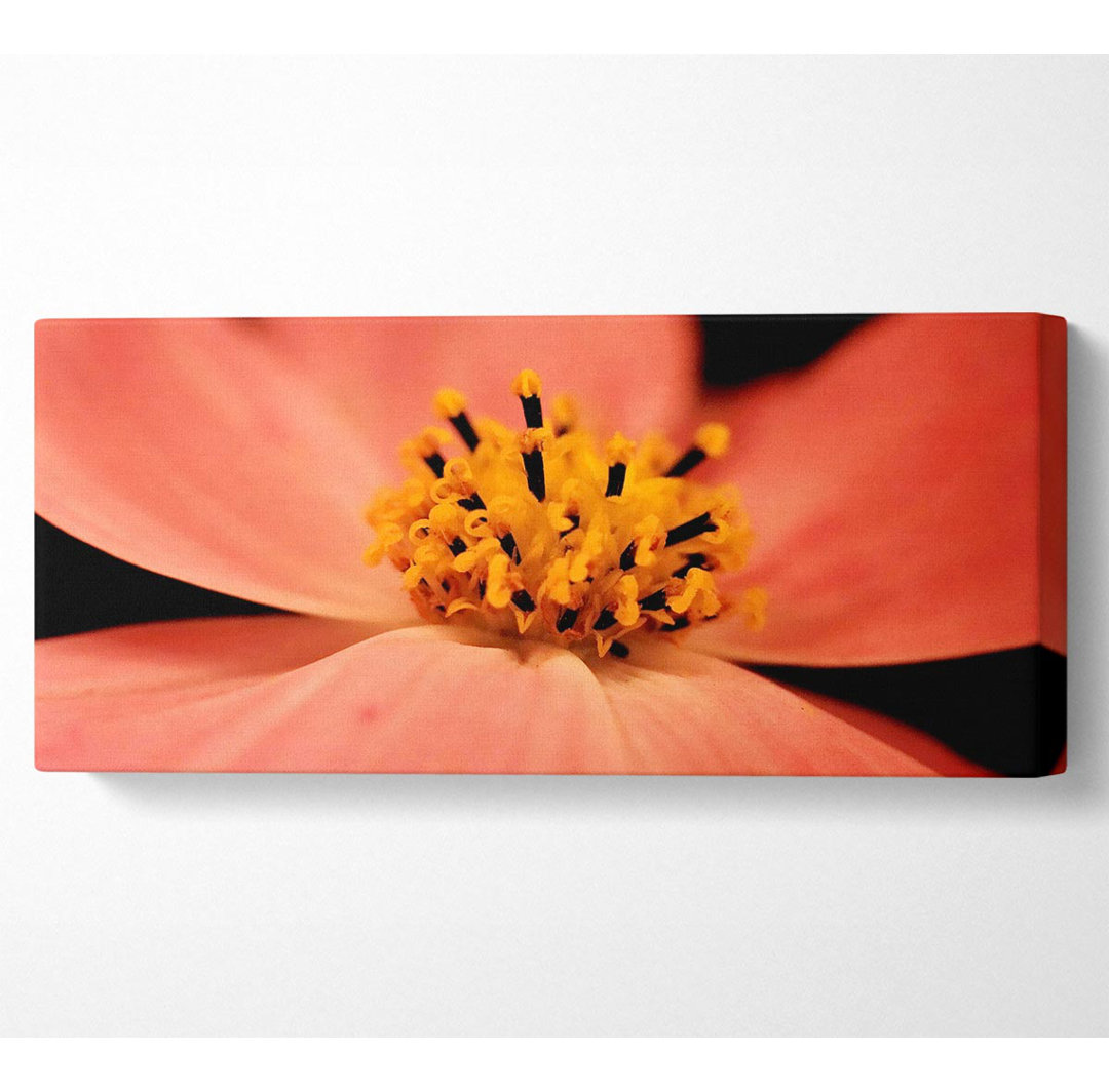 Orange Petal Beauty - Kunstdrucke auf Leinwand