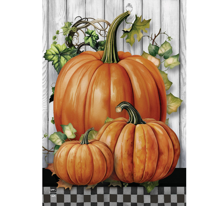 Drapeau de jardin Country Pumpkins, Automne orange/gris