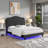 Curved Tufted Luxury Platform Bed, Queen Size, Jet Black Velvet Upholstered with Under-Bed LED Accent Lighting