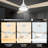 Gurseerit 52'' Ceiling Fan with LED Lights