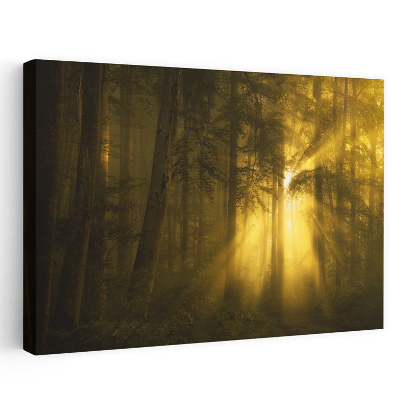 «Golden Forest», art dramatique, paysage étonnant, forêt, H 40 po x l 60 po