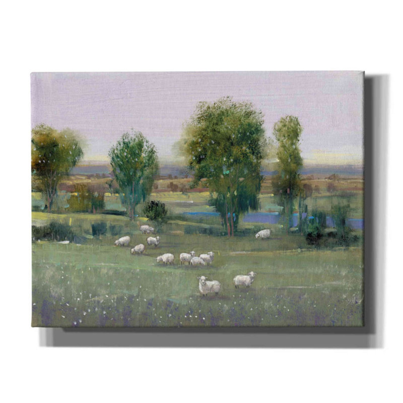 «Field of Sheep I» par Tim O'toole, art mural sur toile, H 26 po x l 34 po x P 1,5 po