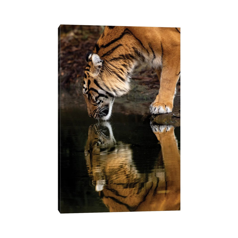 Mirror Mirror 1 Piece Wrapped Canvas Wall Art, 30.48 cm H x 45.72 cm W