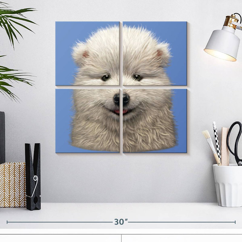 Chiot Brampt Samoyède, H 18 po x l 18 po