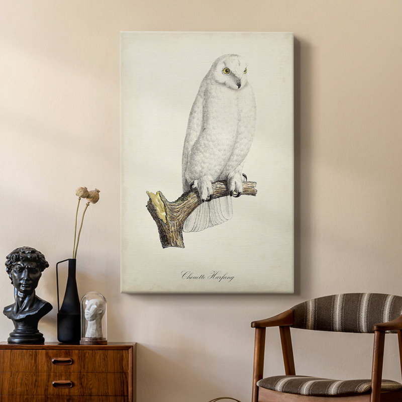French Owls IV - galerie sur mesure, H 27 po x l 18 po