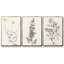 Neutral Botanical Study IV 3 pièces-97711578-97711577
