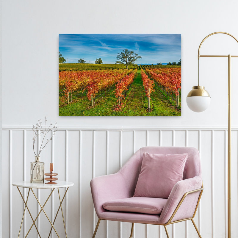 Automne vignoble à Napa Valley, Californie, États-Unis, paysage contemporain abstrait, art, H 24 po x l 36 po