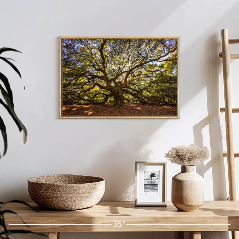 Chêne ange noueux, 19 po x 13 po, Cadre flottant en bois naturel