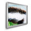 «Baby Spring Animals VIII», impression sur toile encadrée-1348314482-1348314485