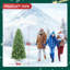 Sapin de Noël pin non éclairé-508809630