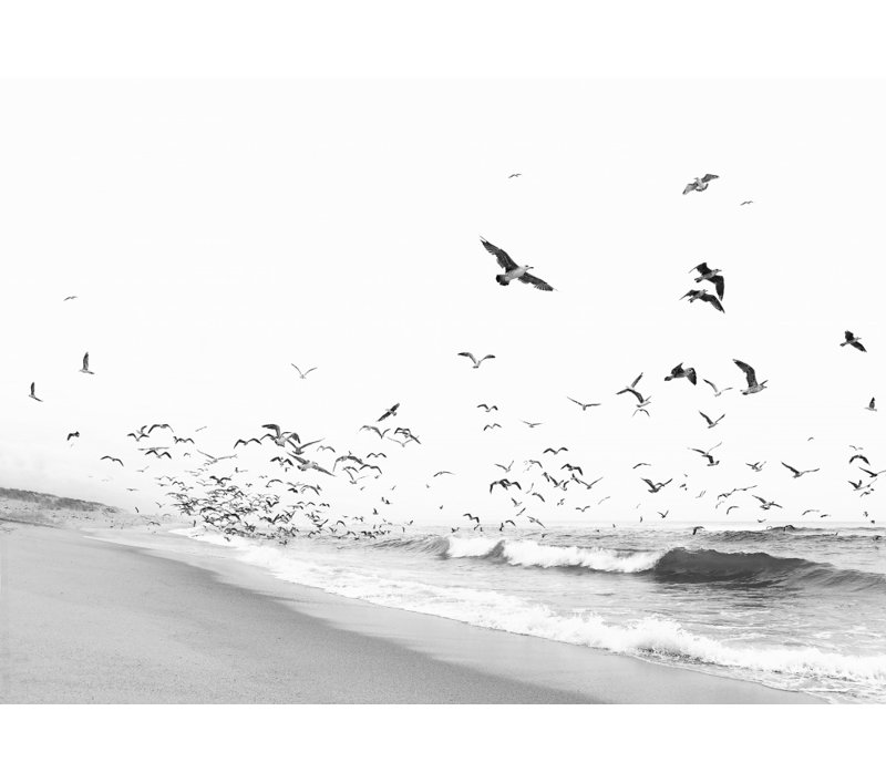 Wrapped Canvas Print, 50.8 cm H x 76.2 cm W