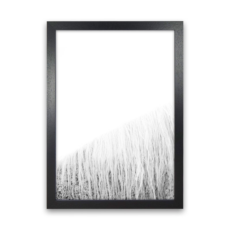 White Horse I by Victoria Frost - Print, Black Framed, 34cm H x 25cm W x 3cm D