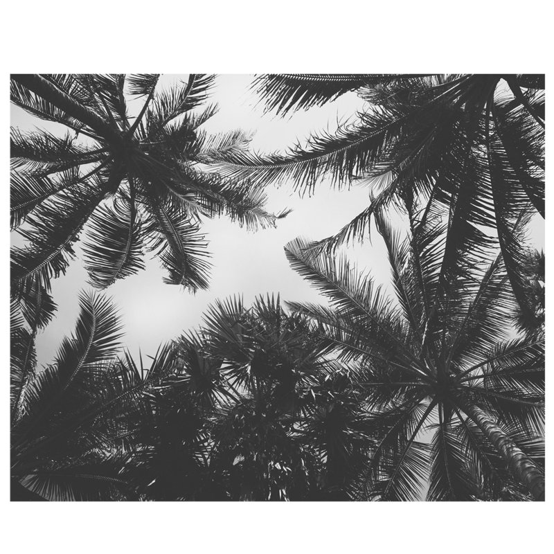 Panneau mural floral et botanique Craney Palm Tree L 96 po x l 120 po