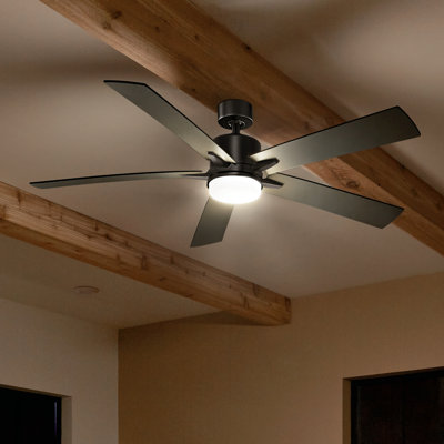 Lucian 60'' Ceiling Fan with LED Lights