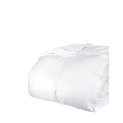 Winter Duck Down Comforter