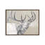 Wailing Bugle by Diane Fifer Art Print-460697643-460697646-460697635