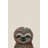 Cheerful Sloth III - Painting on Canvas-923194279
