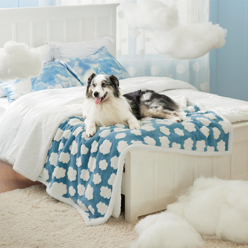 Pet Blanket