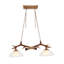 Lustre 2 lumières Antler