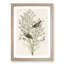 Orange-Crowned Warbler Birds by John Audubon - Picture Frame Painting Print-55581394-55581395