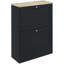 Armoire à chaussures mince pour le vestibule, armoire de rangement pour chaussures moderne cachée avec 2 tiroirs rabattables et tablettes réglables pour 12 paires de chaussures, noir