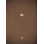 CSL Lighting 197292103905