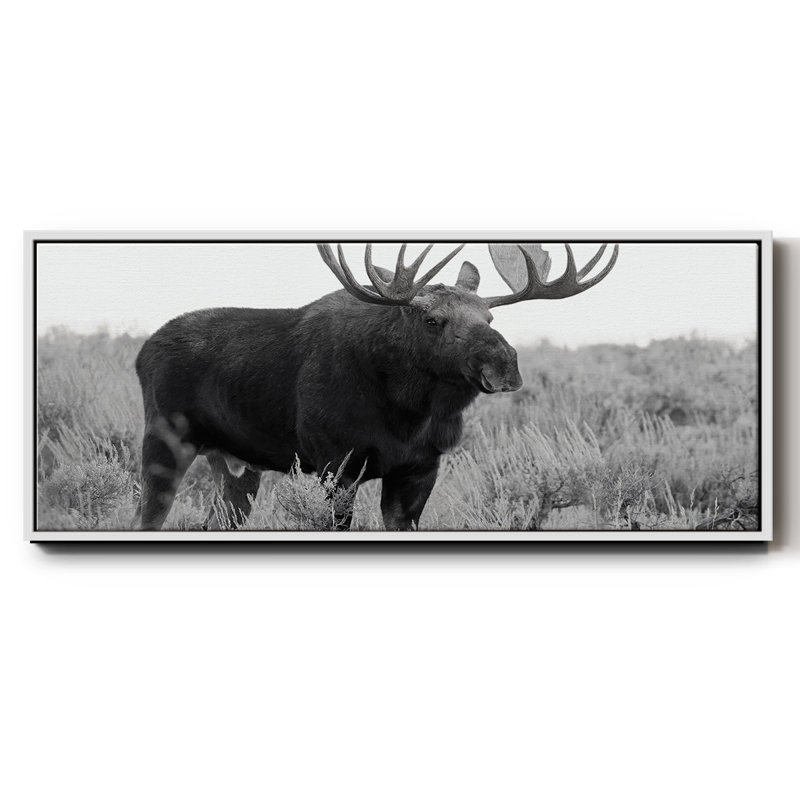 Grand Teton Bull Moose - toile encadrée, H 12 po x l 30 po