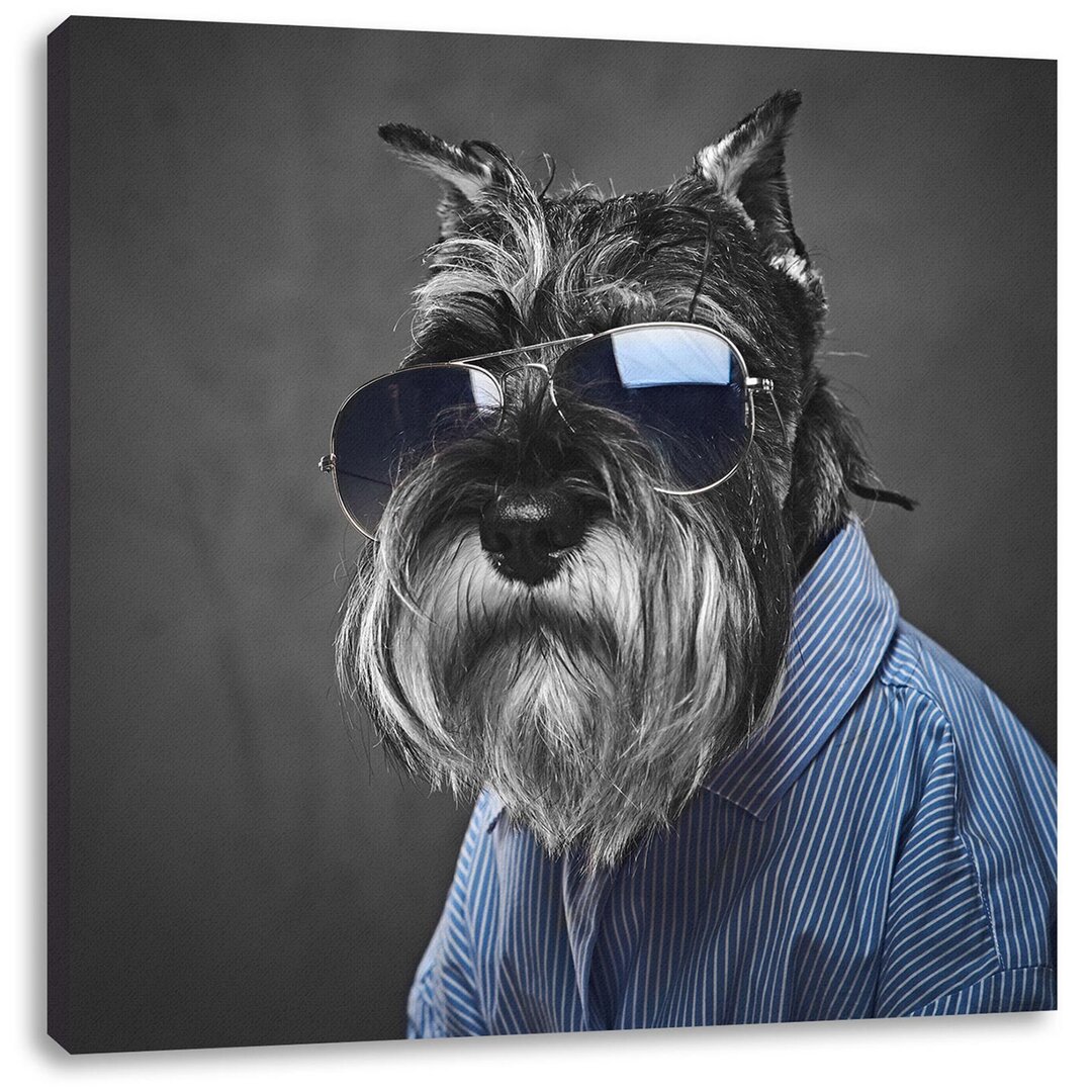 Lustiger Hund Mit Hemd Und Sonnenbrille B&W Detail Als Leinwandbild Quadratisch