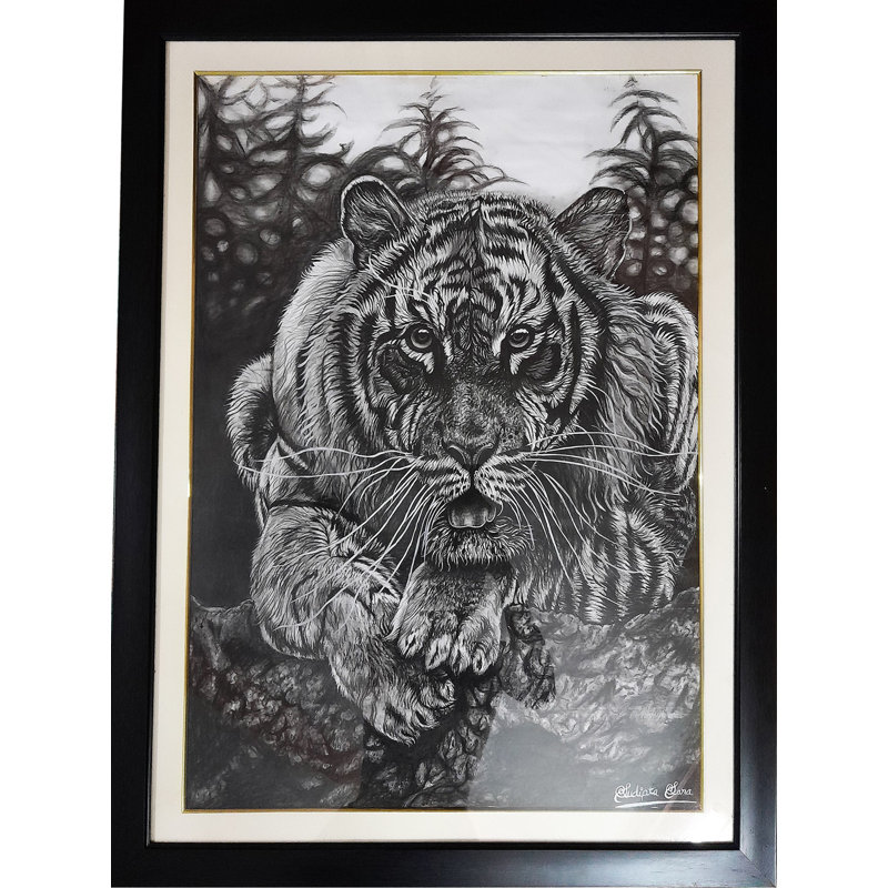 «Waiting For Hunt Tiger Charcoal», peinture sur papier encadrée - art animalier de 24,3 po x 24,12 po par Sudipta Sana