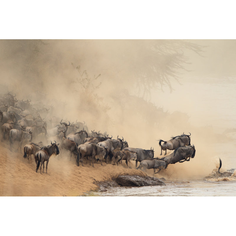 «Herd of Wildebeest» par Zengvision - photographie sur toile tendue, L 12 po x H 8 po