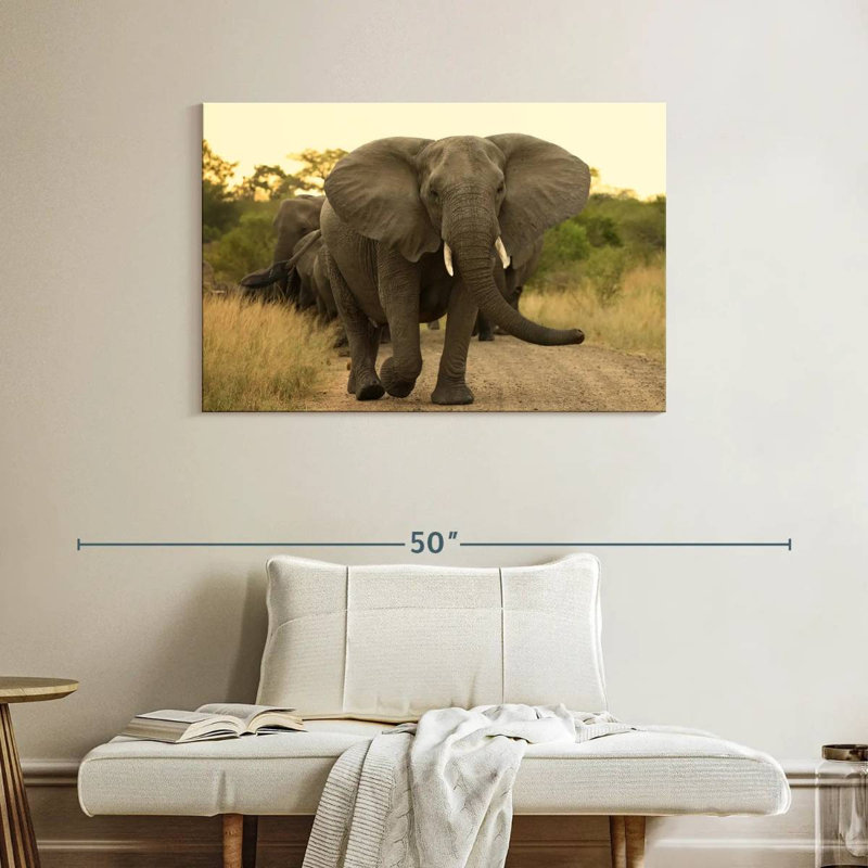 Brampt The Elephant Walk, H 26 po x l 39 po