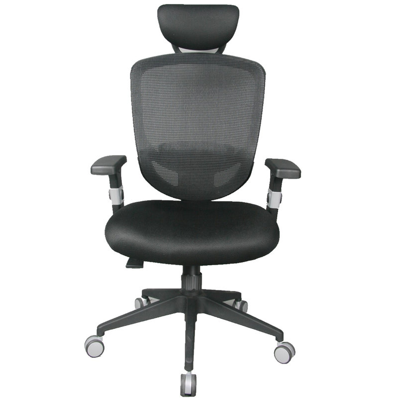 Windber Mesh Task Chair with Headrest