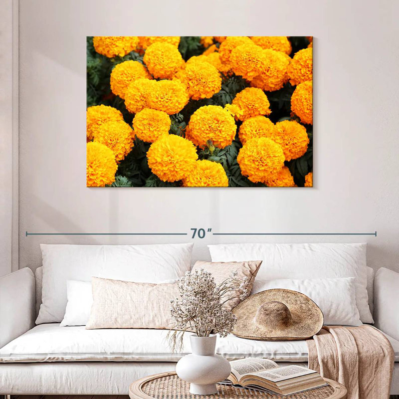 Harnek Mexican Marigold Flowers