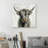 " Highland Cow "