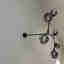 Customer photo 3 of 3
