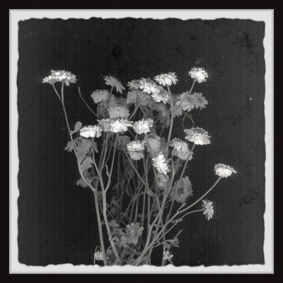 Wild Bouquet - Single Picture Frame Painting