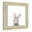 Art encadré en lapins forestières-48163433-48169568