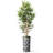 Artificial Tree in Geometric Pattern Planter Fake Bamboo Silk Tree (Plant Pot Plus Tree)-103593078
