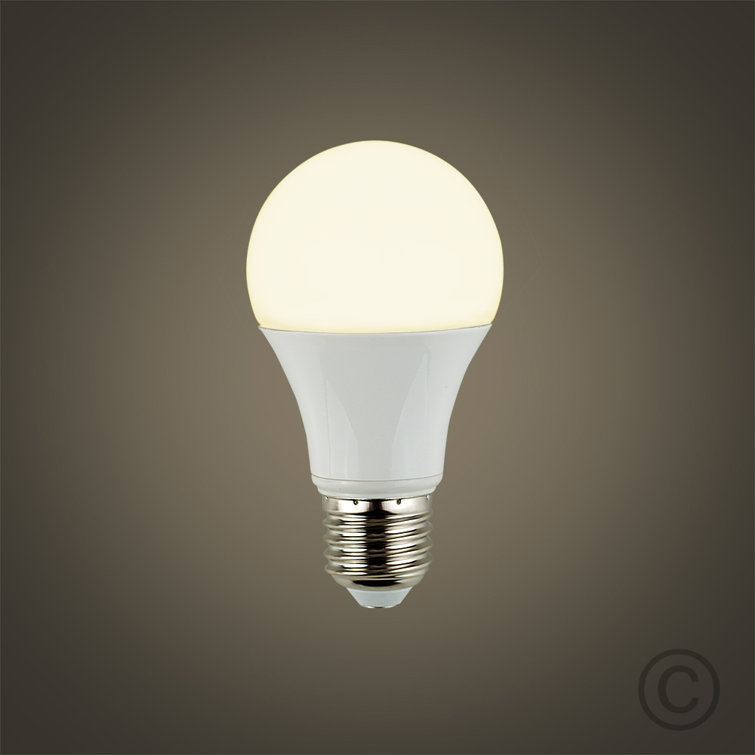 E27 LED Light Bulb