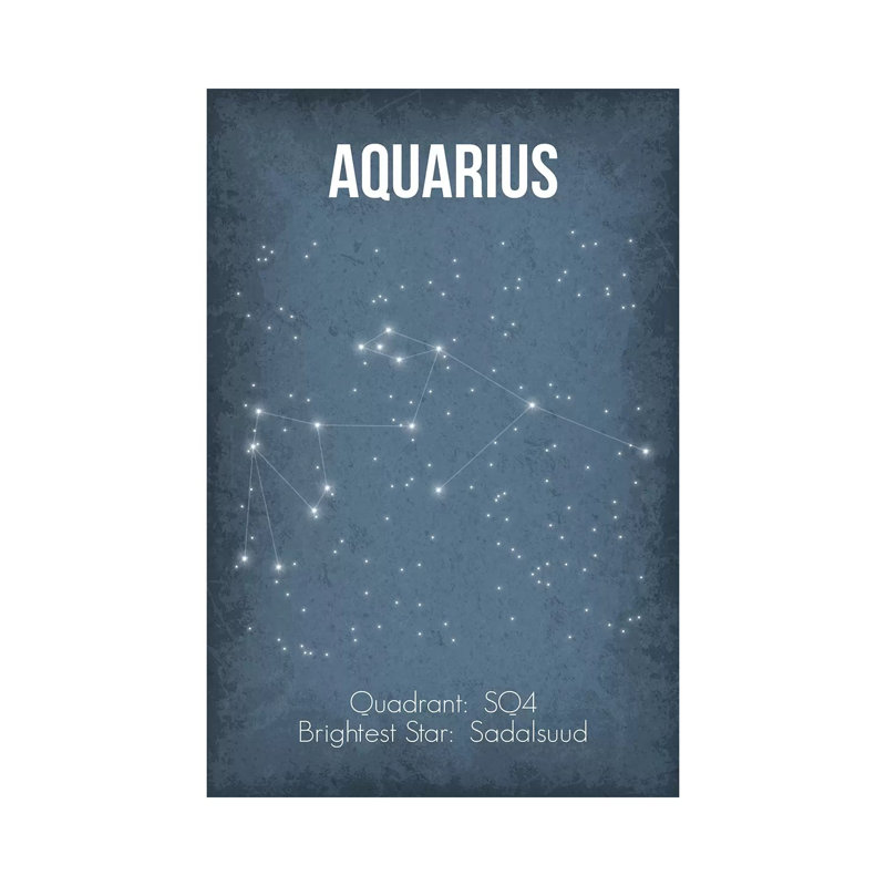 Aquarius by GetYourNerdOn - Wrapped Canvas Print, 20.32 cm H x 30.48 cm W