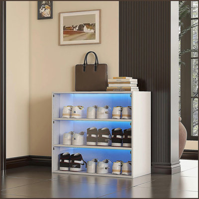 Armoire de rangement pour chaussures avec porte en verre