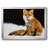 " Fox "-95906060-95906059