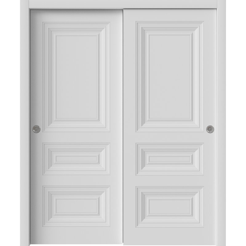 Portes coulissantes coulissantes 48 po x 80 po | Blanc ESSENTIEL 1233 | Ensemble de quincaillerie Rails | Portes de garde-robe de chambre en bois massif