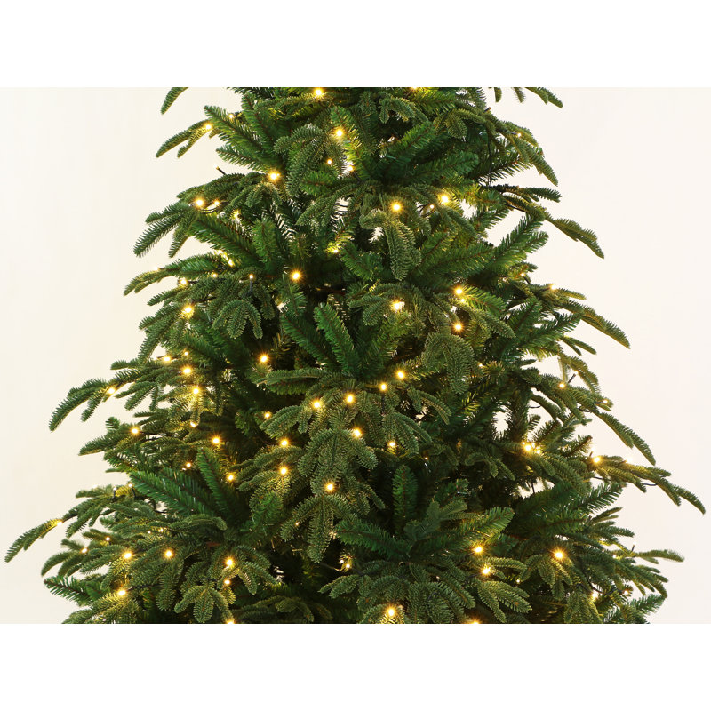Arbre de Noël, 5'
