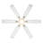 Allegata 56" 5CCT LED Smart Ceiling Fan-124316087-124316086