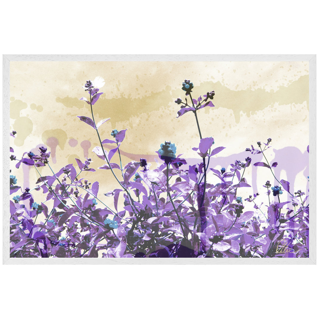 Single Picture Frame Print