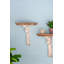 Tablette murale en bois patiné